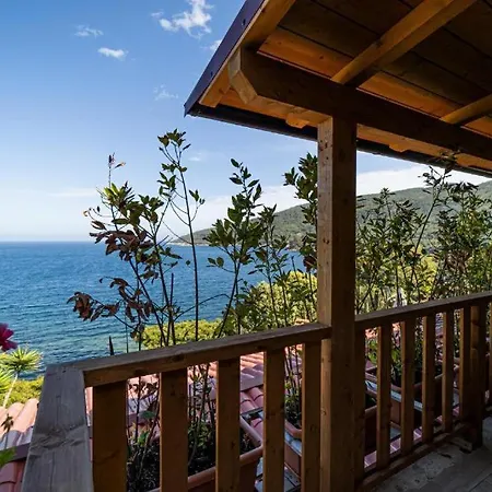 Ray Holiday home