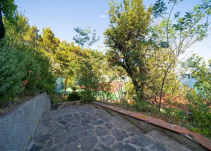 Ray Дом отдыха *